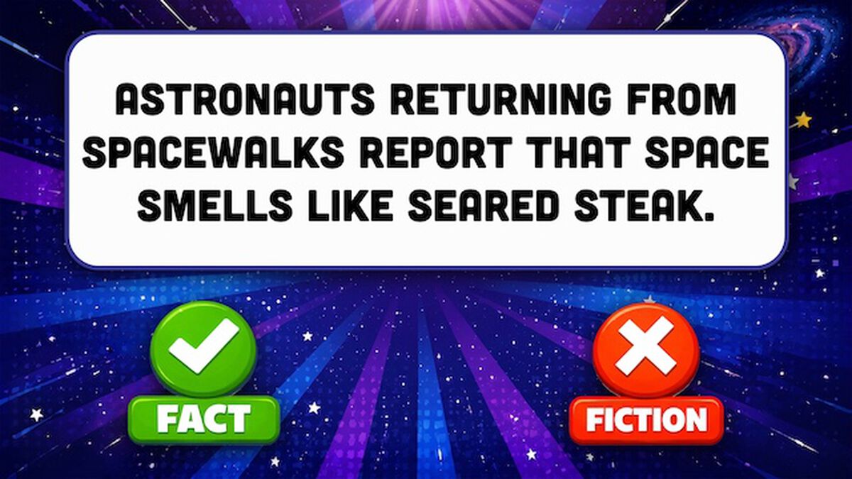 Space: Fact or Fiction? image number null
